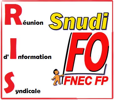 Réunions d’Information Syndicale du SNUDI-FO 89 de janvier
