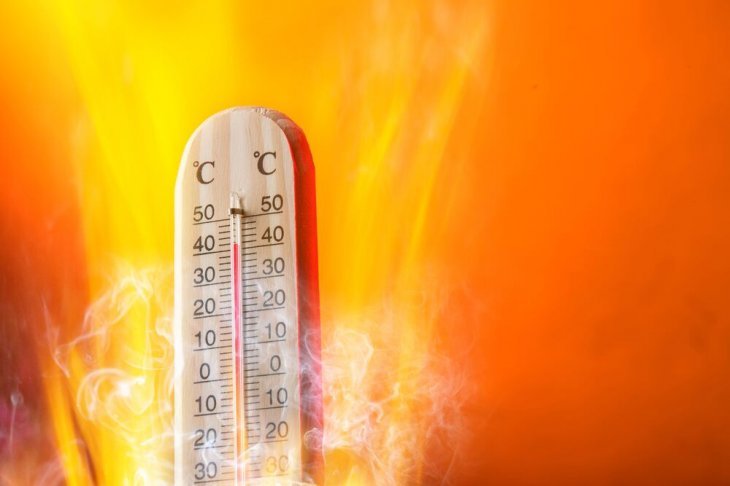 Gestion de la canicule : courrier au DASEN